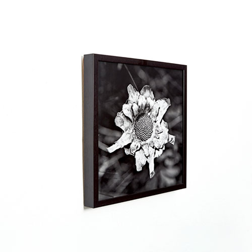 Standard Stretched Canvas banner