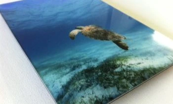 Clean Frameless Display