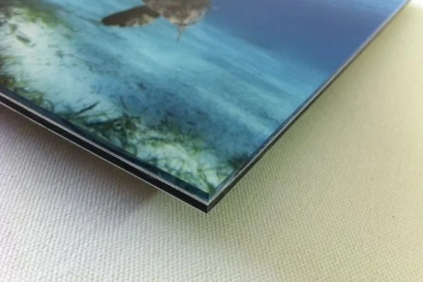 Silverback Acrylic prints introduction video thumbnail