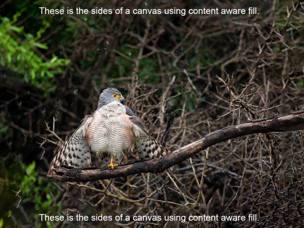 content aware fill on the sides