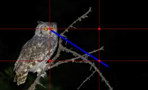 The rule of thirds