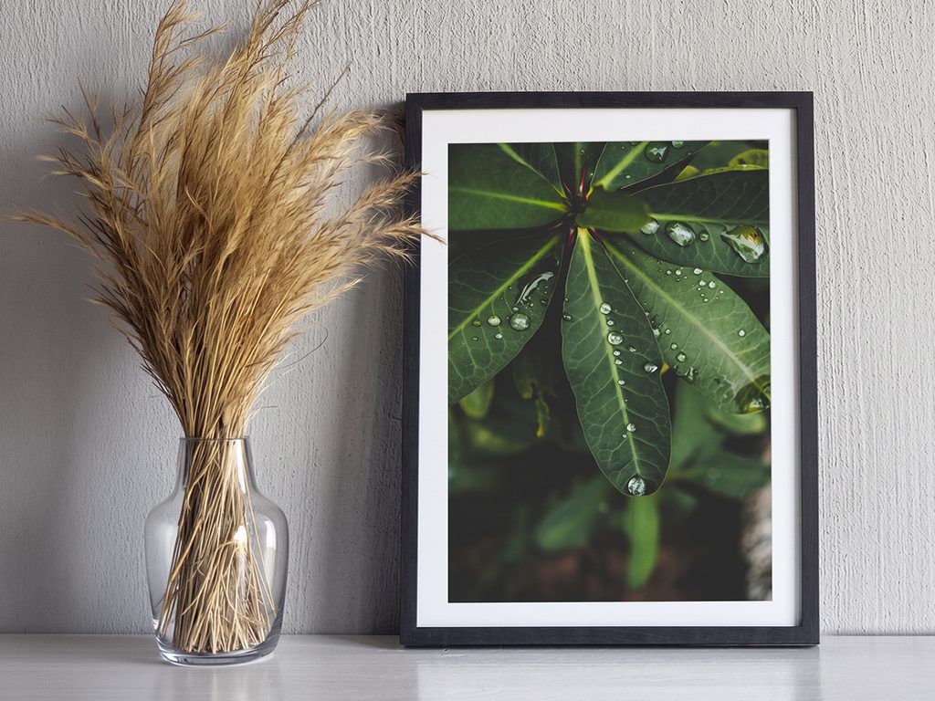 A framed photograph of nature 